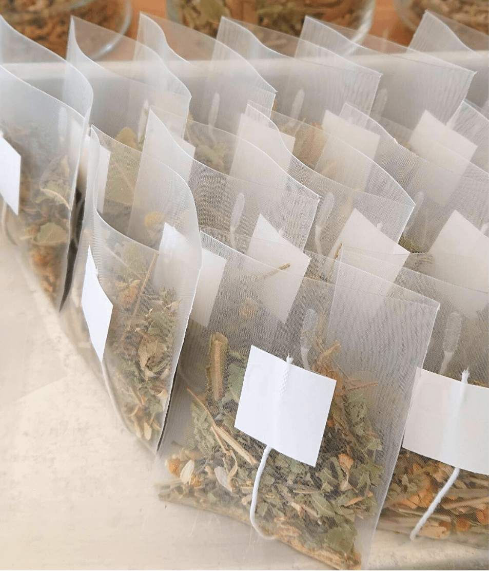 カラー❷PLUMERIAのコピー (7)