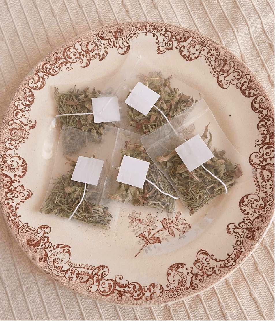 カラー❷PLUMERIAのコピー (8)